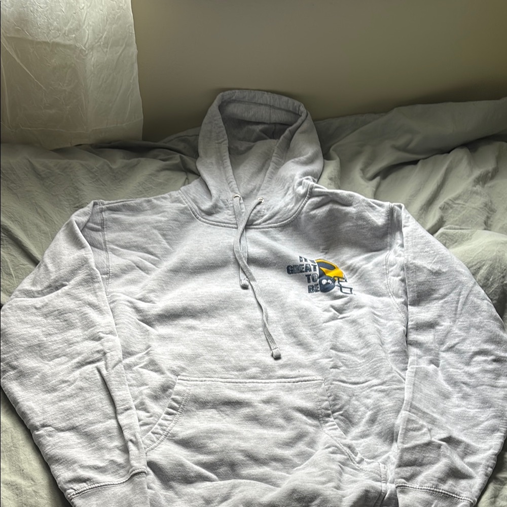 Gray Hoodie Sweater